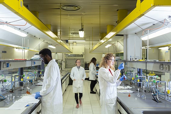 Alma Mater Studiorum - Università di Bologna campus