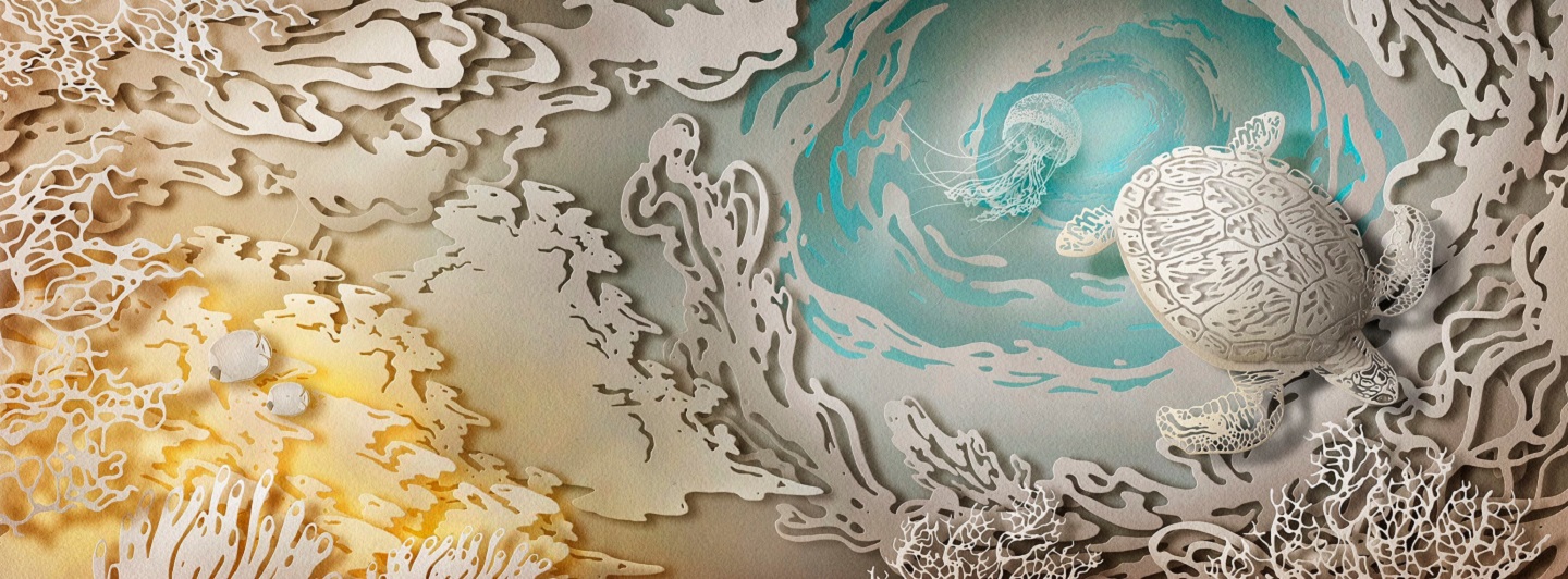 Charles Darwin University campus