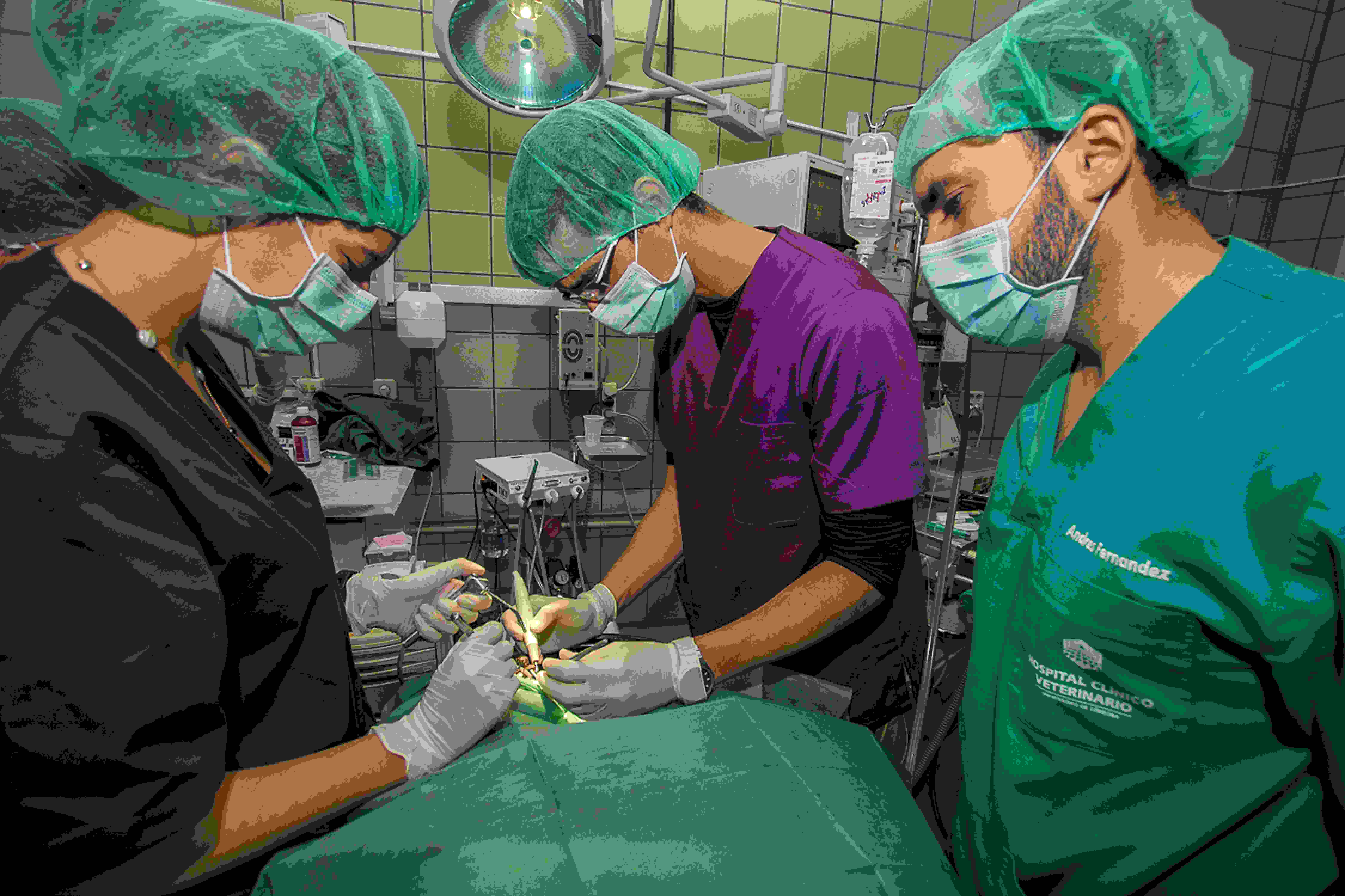 Complutense University of Madrid campus