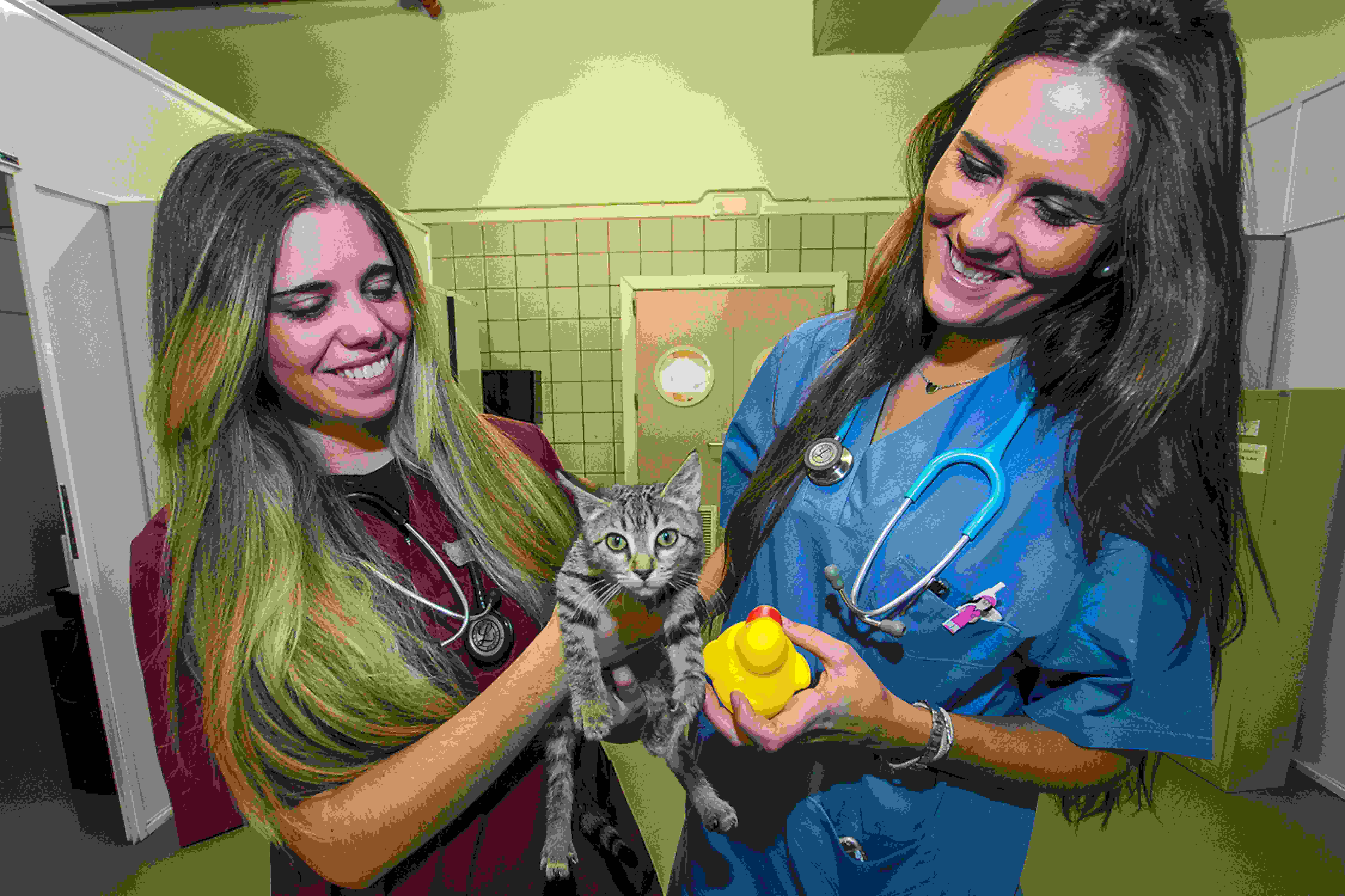 Complutense University of Madrid campus