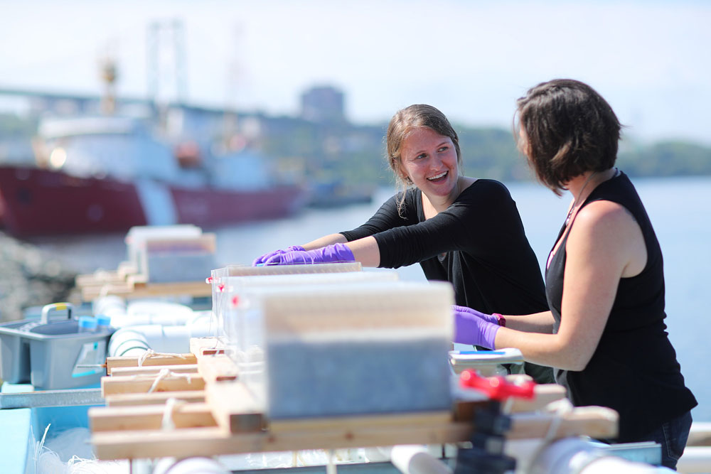 Dalhousie University campus