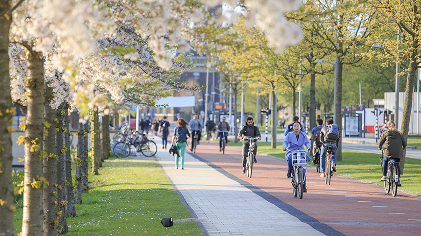 Delft University of Technology campus