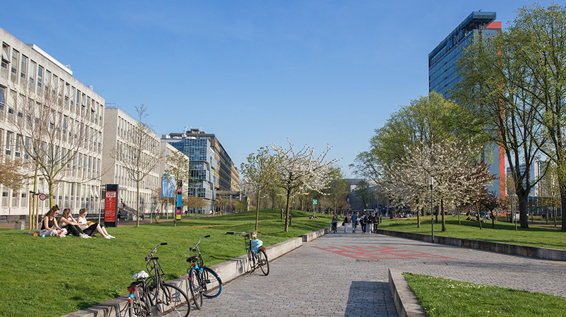 Delft University of Technology campus