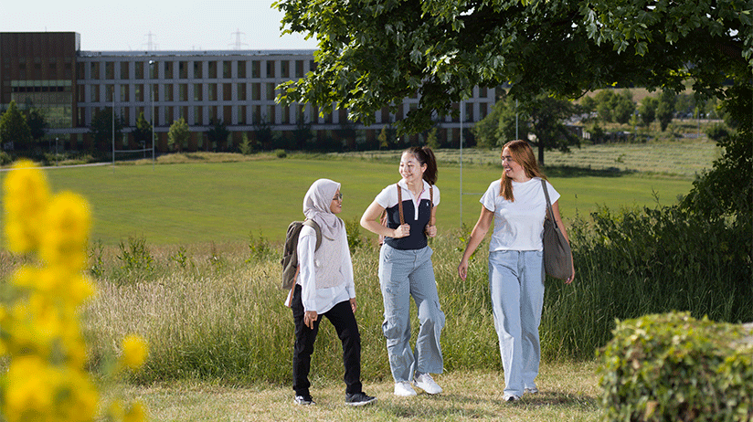 Lancaster University campus