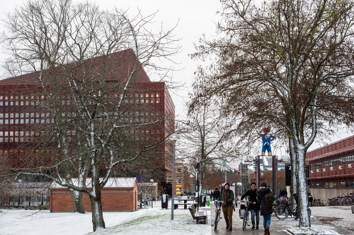 Linköping University campus