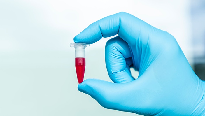 Ludwig-Maximilians-Universität München campus