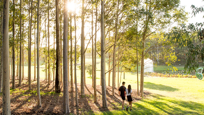 Macquarie University (Sydney, Australia) campus