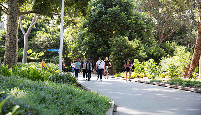 Monash University campus