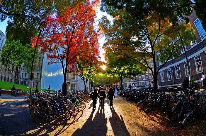 SOAS University of London campus