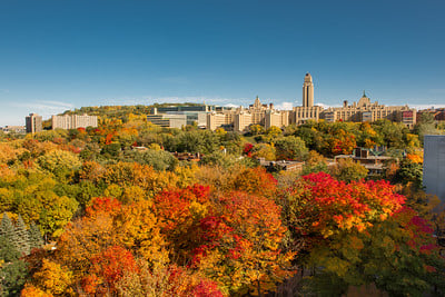 Université de Montréal campus