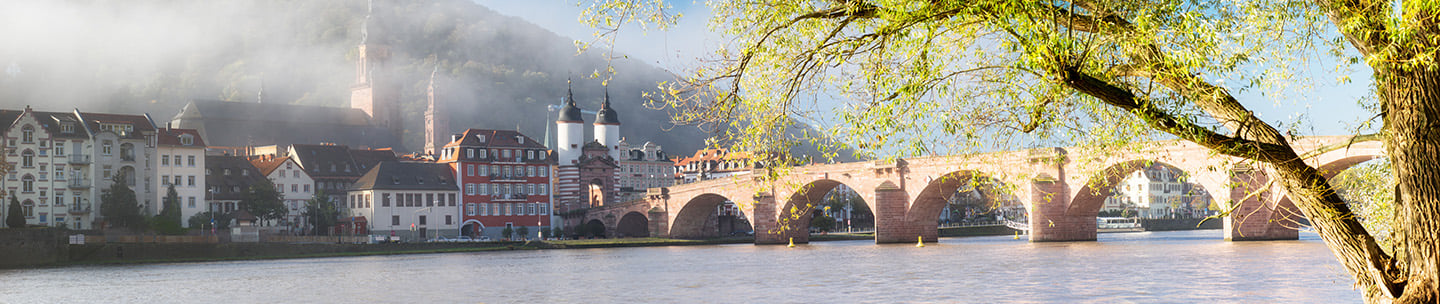 Universität Heidelberg campus