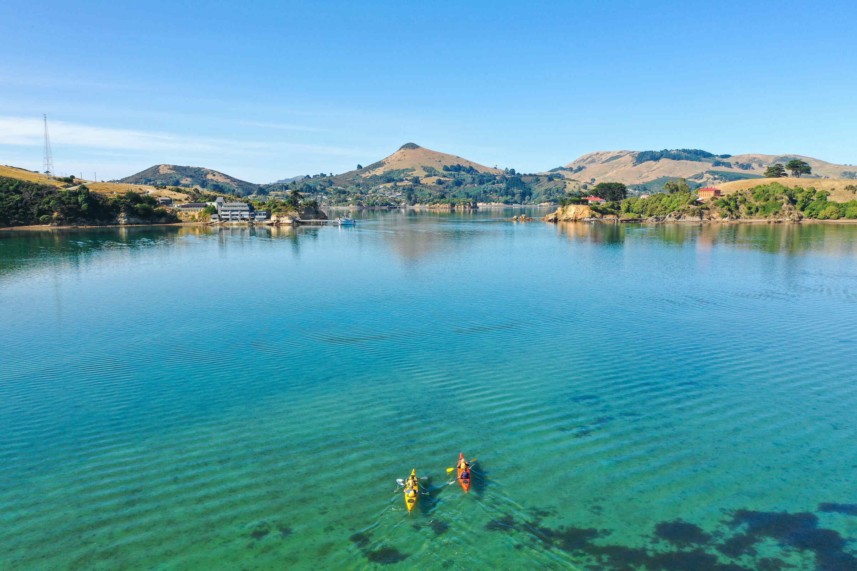 University of Otago campus