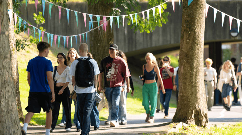 University of Sussex campus