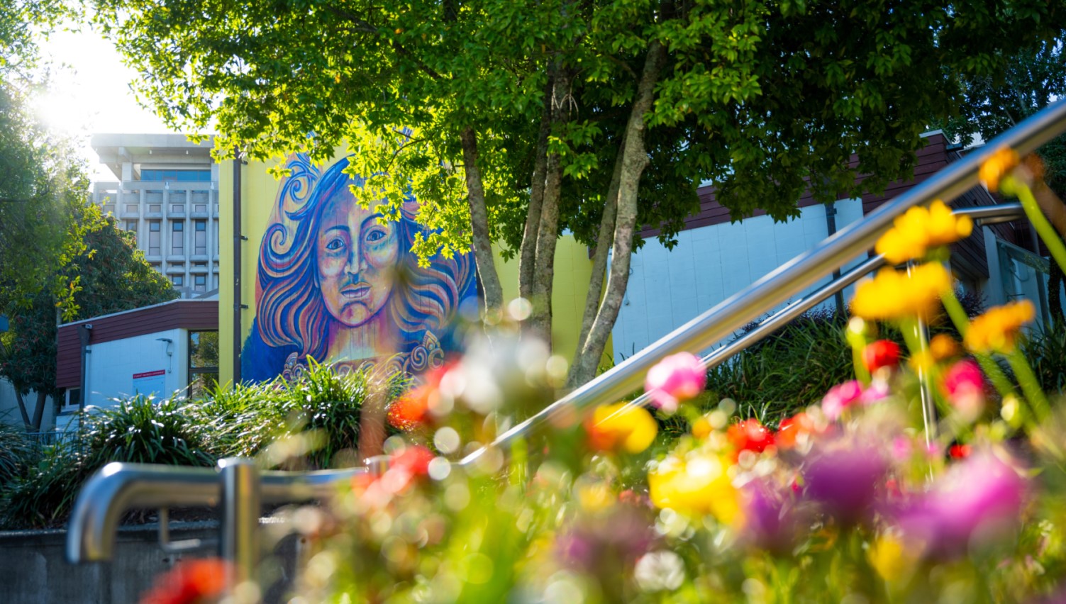 University of Waikato campus