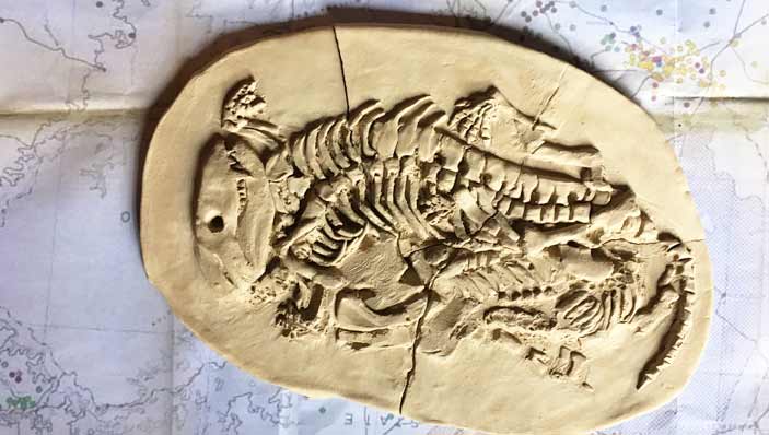 University of Witwatersrand campus