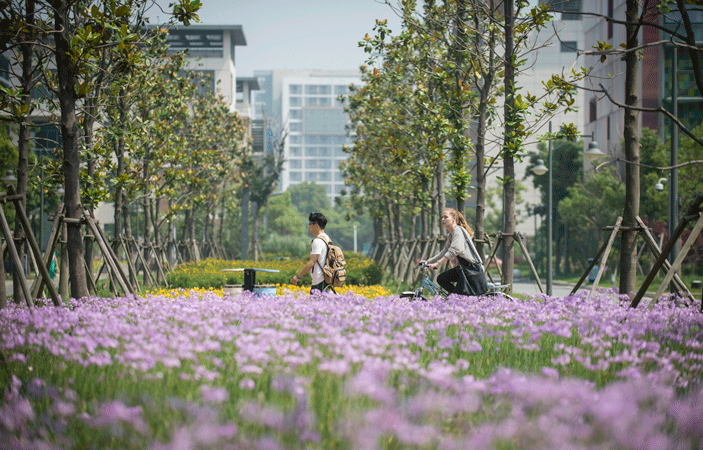 Xi'an Jiaotong Liverpool University campus