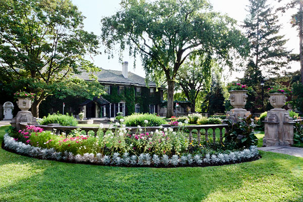 York University campus