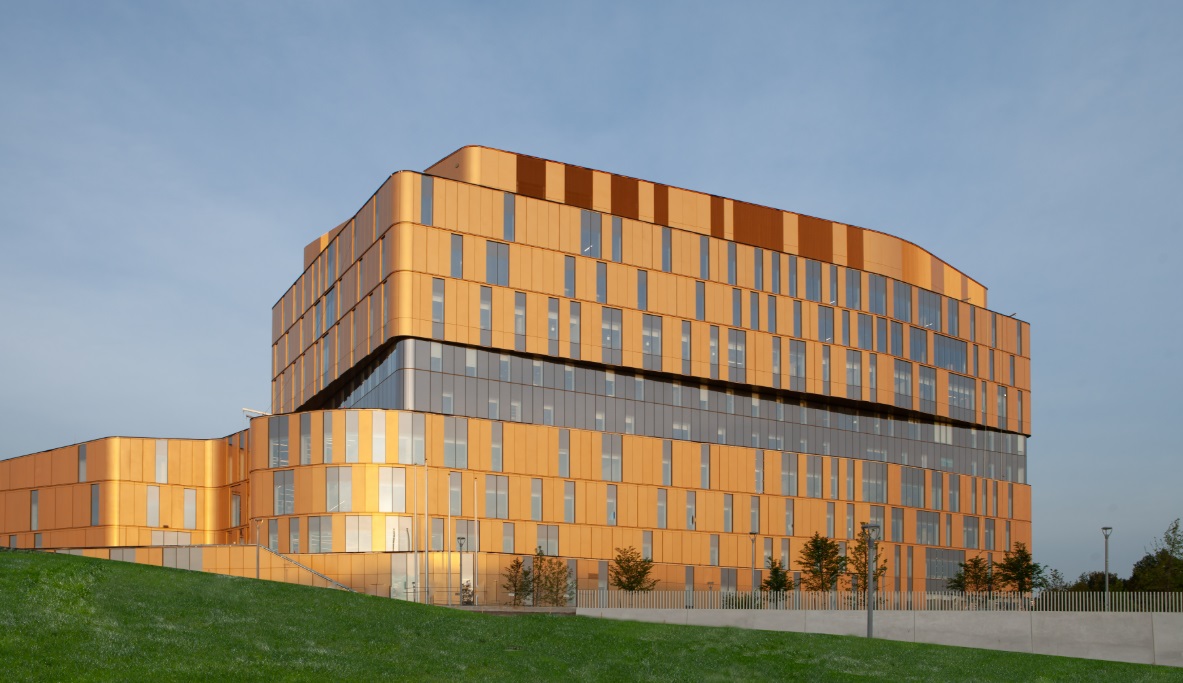 York University campus