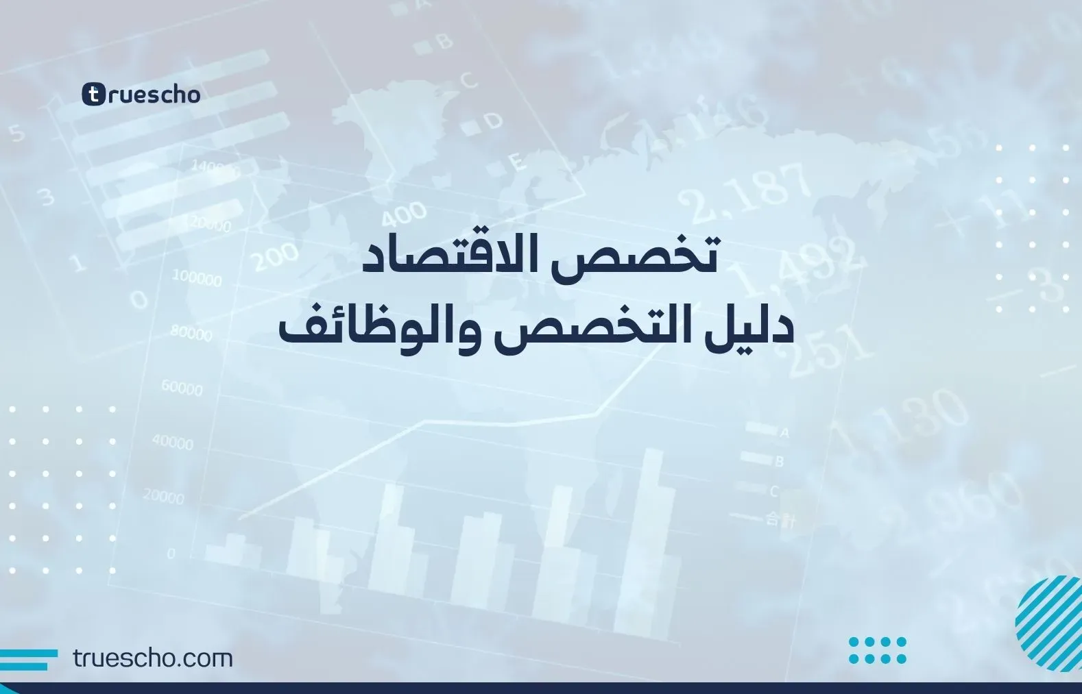 تخصص الاقتصاد: دليل التخصص والوظائف 2025