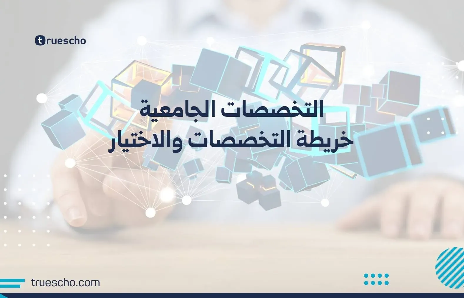 التخصصات الجامعية: خريطة التخصصات والاختيار 2025